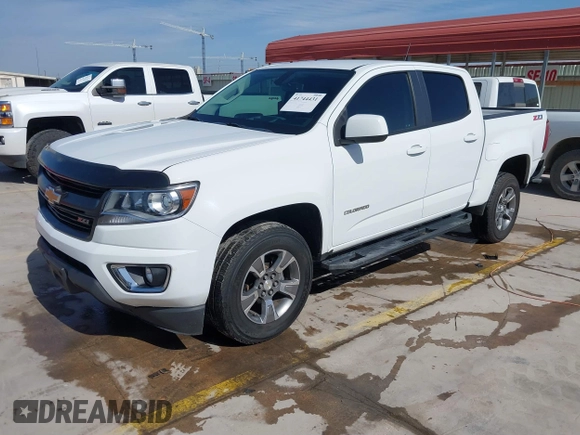 2019 Chevrolet Colorado 2WD Z71 with VIN 1GCGSDEN9K1270894, listed as a IAAI auction lot 41744431 with 72,574 mi miles. Bid and sale history available at carsss.com. Image 18.
