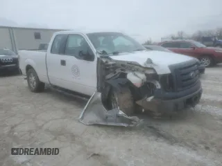 2010 Ford F-150 XL with VIN 1FTEX1CW9AFC75002, listed as a Copart auction lot 45695925 with 175,102 mi miles and Salvage Title. Bid and sale history available at carsss.com. Image 4.