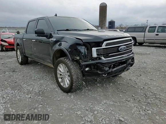 2019 Ford F-150 Limited with VIN 1FTEW1EG7KFB51840, listed as a Copart auction lot 44826385 with 141,289 mi miles and Salvage Title. Bid and sale history available at carsss.com. Image 10.