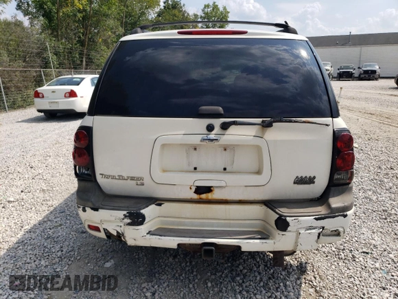 2006 Chevrolet TrailBlazer LS with VIN 1GNDT13S362357608, listed as a Copart auction lot 68828434 with 173,608 mi miles and Salvage Title. Bid and sale history available at DreamBid. Image 6.