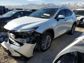 2025 Lexus NX 350 Luxury with VIN 2T2HGCEZ8SC060264, listed as a Copart auction lot 81298244 with 6,758 mi miles and Salvage title. Bid and sale history available at DreamBid. Image 1.