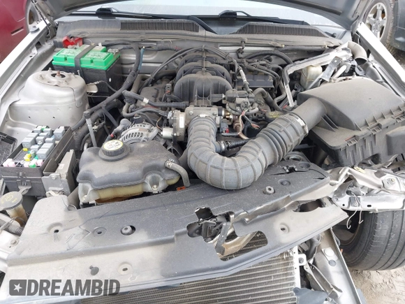 2009 Ford Mustang with VIN 1ZVHT80N295128872, listed as a IAAI auction lot 42221830 with 112,294 mi miles and . Bid and sale history available at DreamBid. Image 10.