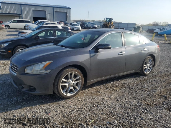 2010 Nissan Maxima 3.5 SV with VIN 1N4AA5AP2AC825604, listed as a Copart auction lot 52800575 with 220,373 mi miles and Salvage Title. Bid and sale history available at carsss.com. Image 1.