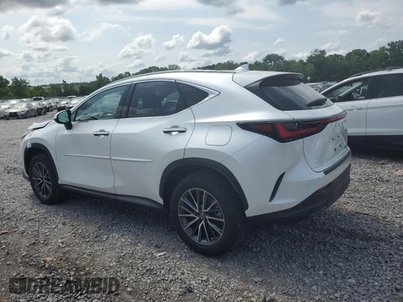 2022 Lexus NX with VIN JTJAKCEZ1N5000801, listed as a Copart auction lot 58025764 with 18,907 mi miles and Salvage Title. Bid and sale history available at carsss.com. Image 2.
