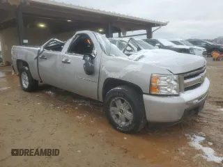 2009 Chevrolet Silverado 1500 with VIN 2GCEC23J191140301, listed as a Copart auction lot 45950505 with Not Provided miles and Non Repairable. Bid and sale history available at DreamBid. Image 4.