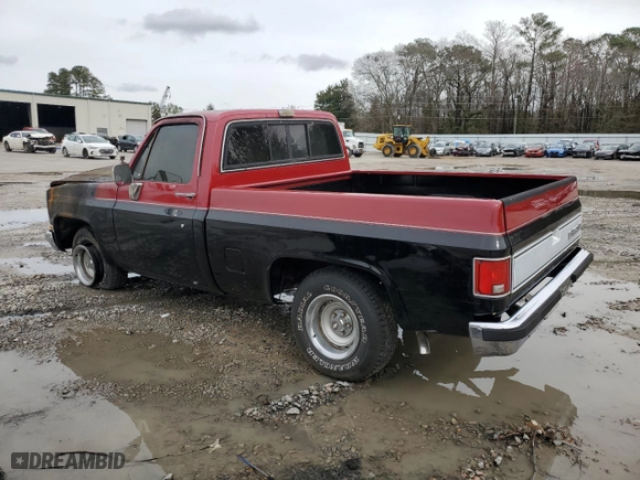 1986 Chevrolet Pickup with VIN 1GCDC14H3GF390811, listed as a Copart auction lot 44913565 with 0 mi miles and Salvage Title. Bid and sale history available at carsss.com. Image 2.