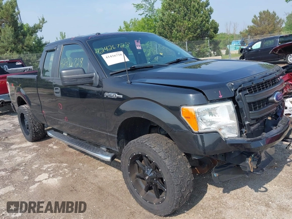 2013 Ford F-150 XL z VIN 1FTFX1EF3DFB81137, wystawiony jako IAAI lot #42426728 z przebiegiem 208 700 mil mil oraz . Historia ofert i sprzedaży dostępna na DreamBid. Obrazek 1.