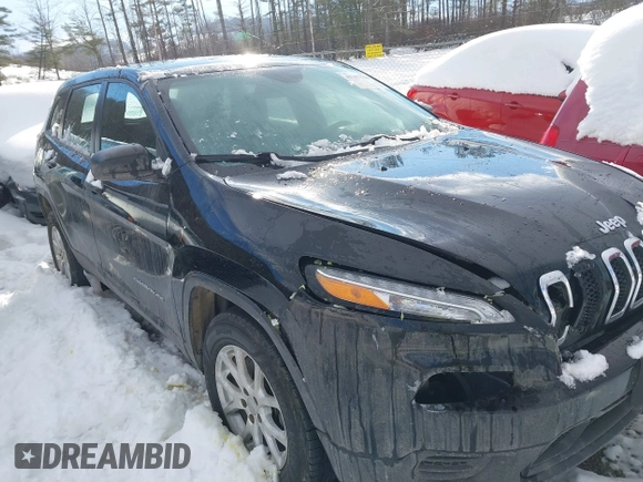2017 Jeep Cherokee Sport with VIN 1C4PJMAB9HD215769, listed as a IAAI auction lot 41257530 with 110,935 mi miles. Bid and sale history available at carsss.com. Image 6.