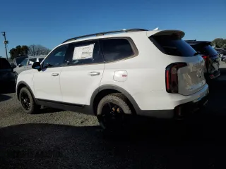 2024 Kia Telluride SX X-Line with VIN 5XYP5DGC6RG508522, listed as a Copart auction lot 81032314 with 14 mi miles and Salvage Title. Bid and sale history available at carsss.com. Image 2.