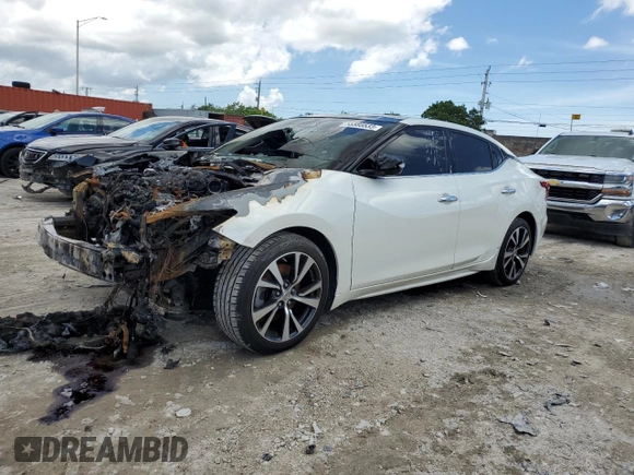 2017 Nissan Maxima SV with VIN 1N4AA6AP8HC436045, listed as a Copart auction lot 55585533 with Not Provided miles and Non Repairable. Bid and sale history available at carsss.com. Image 1.