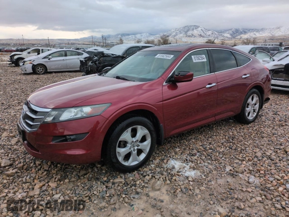 2010 Honda Accord Crosstour EX-L with VIN 5J6TF2H55AL007690, listed as a Copart auction lot 81562564 with 116,285 mi miles and Salvage Title. Bid and sale history available at carsss.com. Image 1.