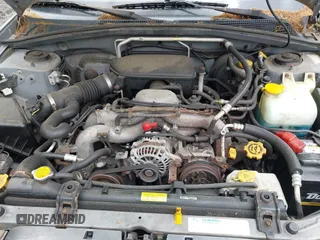 2005 Subaru Forester XS with VIN JF1SG65605H745494, listed as a IAAI auction lot 42382364 with 256,505 mi miles and . Bid and sale history available at DreamBid. Image 10.