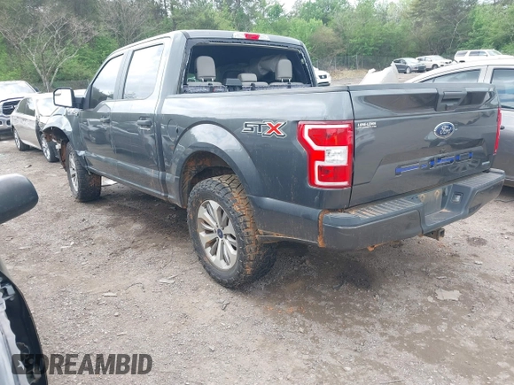 2018 Ford F-150 XL with VIN 1FTEW1CP2JFB50192, listed as a IAAI auction lot 41946675 with 154,934 mi miles. Bid and sale history available at carsss.com. Image 3.