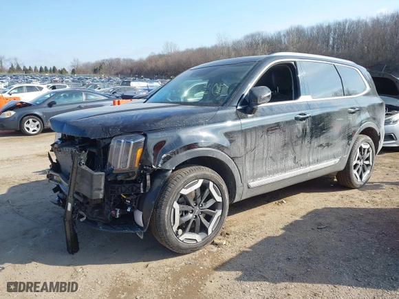 2024 Kia Telluride S with VIN 5XYP6DGC6RG511711, listed as a IAAI auction lot 41550210 with 13,003 mi miles. Bid and sale history available at carsss.com. Image 17.