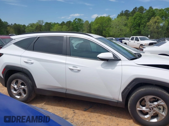 2024 Hyundai Tucson SEL with VIN 5NMJBCDE0RH301466, listed as a IAAI auction lot 42010181 with 8,221 mi miles. Bid and sale history available at carsss.com. Image 13.