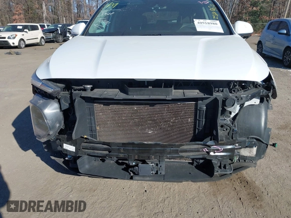 2019 Hyundai Santa Fe SE with VIN 5NMS2CAD5KH011357, listed as a IAAI auction lot 40918980 with 98,851 mi miles. Bid and sale history available at carsss.com. Image 6.