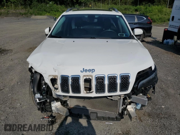 2019 Jeep Cherokee Limited with VIN 1C4PJMDX1KD293624, listed as a Copart auction lot 61102005 with 57,321 mi miles and Salvage title. Bid and sale history available at DreamBid. Image 5.