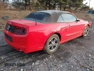 2014 Ford Mustang V6 with VIN 1ZVBP8EM6E5306738, listed as a IAAI auction lot 41226593 with 98,553 mi miles. Bid and sale history available at carsss.com. Image 4.