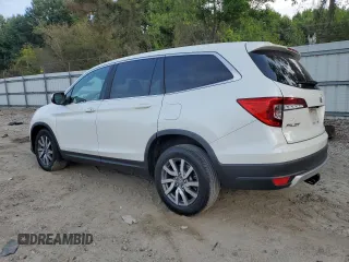 2019 Honda Pilot EX-L with VIN 5FNYF5H44KB009679, listed as a Copart auction lot 62210505 with 148,628 mi miles and Salvage title. Bid and sale history available at DreamBid. Image 2.