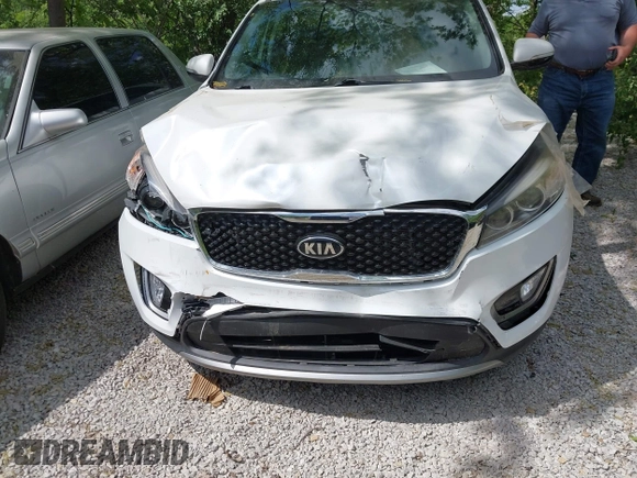 2017 Kia Sorento EX with VIN 5XYPH4A51HG321382, listed as a IAAI auction lot 42299413 with 62,921 mi miles and . Bid and sale history available at DreamBid. Image 6.