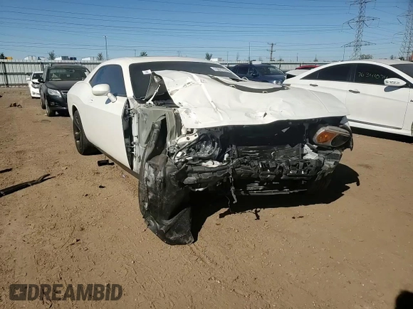 2010 Dodge Challenger R/T z VIN 2B3CJ5DT4AH195370, wystawiony jako Copart lot #76571714 z przebiegiem Nie podano mil oraz Szkoda całkowita • Salvage title. Historia ofert i sprzedaży dostępna na DreamBid. Obrazek 10.