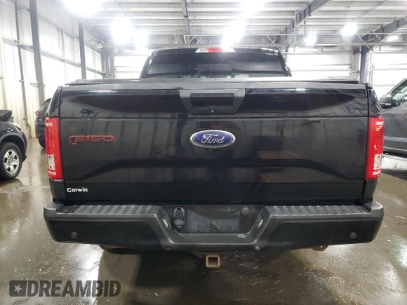 2016 Ford F-150 XLT with VIN 1FTEW1EG7GFD16079, listed as a Copart auction lot 58512935 with 112,522 mi miles and Salvage title. Bid and sale history available at DreamBid. Image 6.