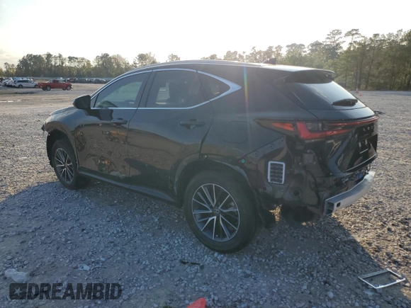 2024 Lexus NX with VIN JTJGGCEZ0R5009166, listed as a Copart auction lot 84429794 with 11,770 mi miles and Clean Title. Bid and sale history available at carsss.com. Image 2.