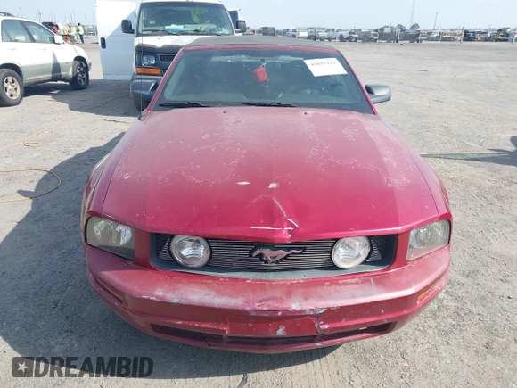 2006 Ford Mustang Standard with VIN 1ZVFT84N365190097, listed as a IAAI auction lot 42015242 with Not Provided miles and . Bid and sale history available at carsss.com. Image 6.