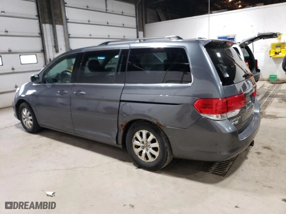 2010 Honda Odyssey EX-L with VIN 5FNRL3H71AB023646, listed as a Copart auction lot 51981865 with 171,965 mi miles and Clean Title. Bid and sale history available at carsss.com. Image 2.