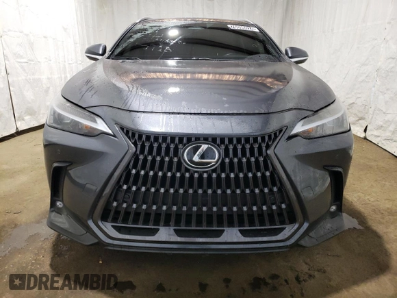 2023 Lexus NX with VIN 2T2GDCAZXPC003713, listed as a Copart auction lot 76096024 with 52,622 mi miles and Clean Title. Bid and sale history available at carsss.com. Image 5.