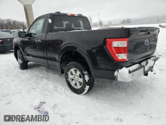 2021 Ford F-150 XL with VIN 1FTMF1EB1MKF07449, listed as a Copart auction lot 37636924 with 43,361 mi miles and . Bid and sale history available at DreamBid. Image 2.