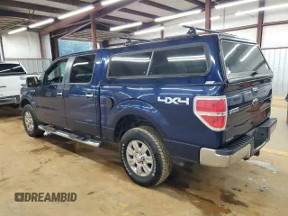 2009 Ford F-150 XL with VIN 1FTPW14V09FB11277, listed as a Copart auction lot 59531415 with 186,572 mi miles and Salvage title. Bid and sale history available at DreamBid. Image 2.