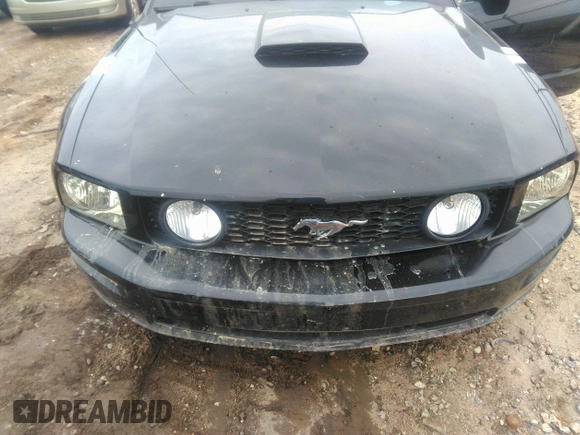 2007 Ford Mustang GT Deluxe z VIN 1ZVHT85H675258993, wystawiony jako IAAI lot #42369351 z przebiegiem 131 247 mil mil oraz . Historia ofert i sprzedaży dostępna na DreamBid. Obrazek 6.