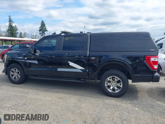 2022 Ford F-150 with VIN 1FTFW1P88NKD26828, listed as a IAAI auction lot 42702457 with 43,327 mi miles and . Bid and sale history available at DreamBid. Image 14.