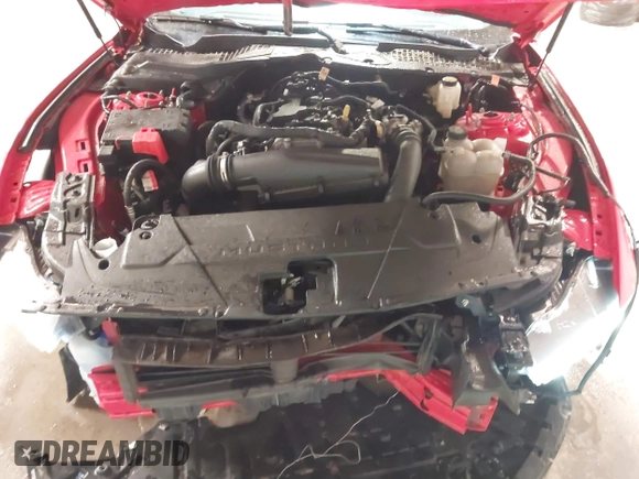 2024 Ford Mustang EcoBoost with VIN 1FA6P8TH0R5113118, listed as a IAAI auction lot 41246525 with 19,848 mi miles and . Bid and sale history available at DreamBid. Image 10.