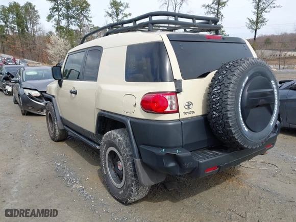 2010 Toyota FJ Cruiser with VIN JTEBU4BF1AK095319, listed as a IAAI auction lot 41721065 with 126,262 mi miles. Bid and sale history available at carsss.com. Image 3.