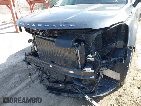 2020 Kia Telluride S with VIN 5XYP64HC9LG006929, listed as a IAAI auction lot 41829776 with 76,020 mi miles and . Bid and sale history available at DreamBid. Image 6.