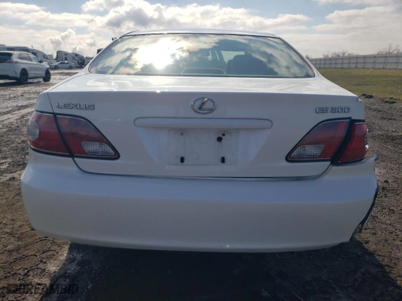 2002 Lexus ES 300 with VIN JTHBF30G625019579, listed as a Copart auction lot 45815665 with NaN miles and Salvage Title. Bid and sale history available at carsss.com. Image 6.