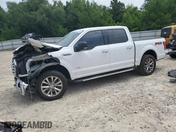 2017 Ford F-150 XL with VIN 1FTEW1EP2HFA73718, listed as a Copart auction lot 65363345 with 81,806 mi miles and Salvage title. Bid and sale history available at DreamBid. Image 1.
