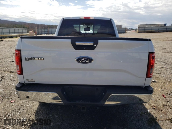 2016 Ford F-150 XLT with VIN 1FTEX1EP5GFB24513, listed as a Copart auction lot 49113035 with 156,266 mi miles and Salvage Title. Bid and sale history available at carsss.com. Image 6.