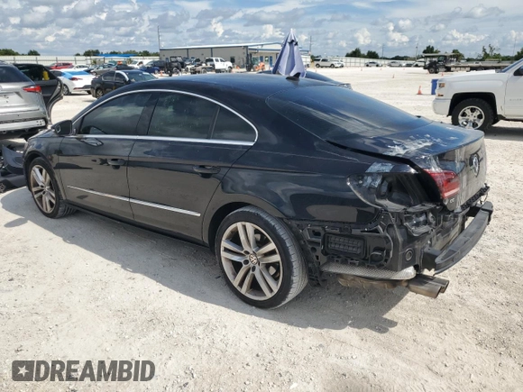2013 Volkswagen CC Lux with VIN WVWRN7AN9DE506012, listed as a Copart auction lot 68066574 with 125,787 mi miles and Salvage Title. Bid and sale history available at carsss.com. Image 2.