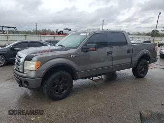 2010 Ford F-150 XL with VIN 1FTFW1EV6AFA01669, listed as a Copart auction lot 49491865 with 344,610 mi miles and Salvage Title. Bid and sale history available at carsss.com. Image 1.