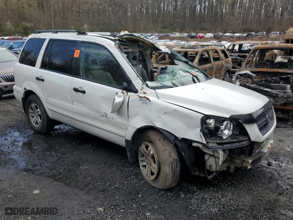 2005 Honda Pilot EX-L with RES with VIN 5FNYF186X5B004548, listed as a Copart auction lot 51762255 with 0 mi miles and Salvage Title. Bid and sale history available at carsss.com. Image 4.