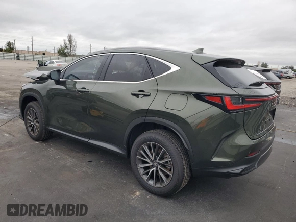 2025 Lexus NX 250 with VIN 2T2ADCAZ8SC021948, listed as a Copart auction lot 42130975 with 1,920 mi miles and Salvage title. Bid and sale history available at DreamBid. Image 2.