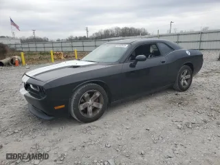 2013 Dodge Challenger Rallye Redline with VIN 2C3CDYAG2DH719221, listed as a Copart auction lot 44632635 with 132,957 mi miles and Salvage Title. Bid and sale history available at carsss.com. Image 1.