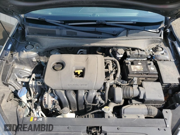 2019 Kia Forte LXS with VIN 3KPF24AD4KE080085, listed as a Copart auction lot 58801865 with 118,271 mi miles and Salvage title. Bid and sale history available at DreamBid. Image 11.