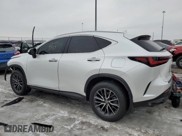 2024 Lexus NX 250 with VIN 2T2ADCAZ6RC010487, listed as a Copart auction lot 42030835 with 42,164 mi miles and Salvage title. Bid and sale history available at DreamBid. Image 2.