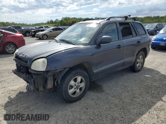2005 Hyundai Santa Fe GLS with VIN KM8SC73D25U868391, listed as a Copart auction lot 50810045 with 119,074 mi miles and Salvage Title. Bid and sale history available at carsss.com. Image 1.