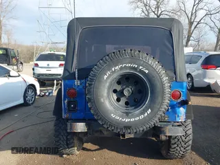 1995 Jeep Wrangler S with VIN 1J4FY19P3SP260597, listed as a IAAI auction lot 41883021 with 176,555 mi miles. Bid and sale history available at carsss.com. Image 16.