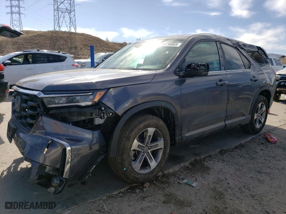 2024 Honda Pilot EX-L 8 Passenger with VIN 5FNYG2H44RB000244, listed as a Copart auction lot 48798865 with 16,179 mi miles and Salvage Title. Bid and sale history available at carsss.com. Image 1.